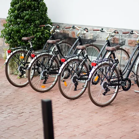 Magalean & 4* Hondarribia